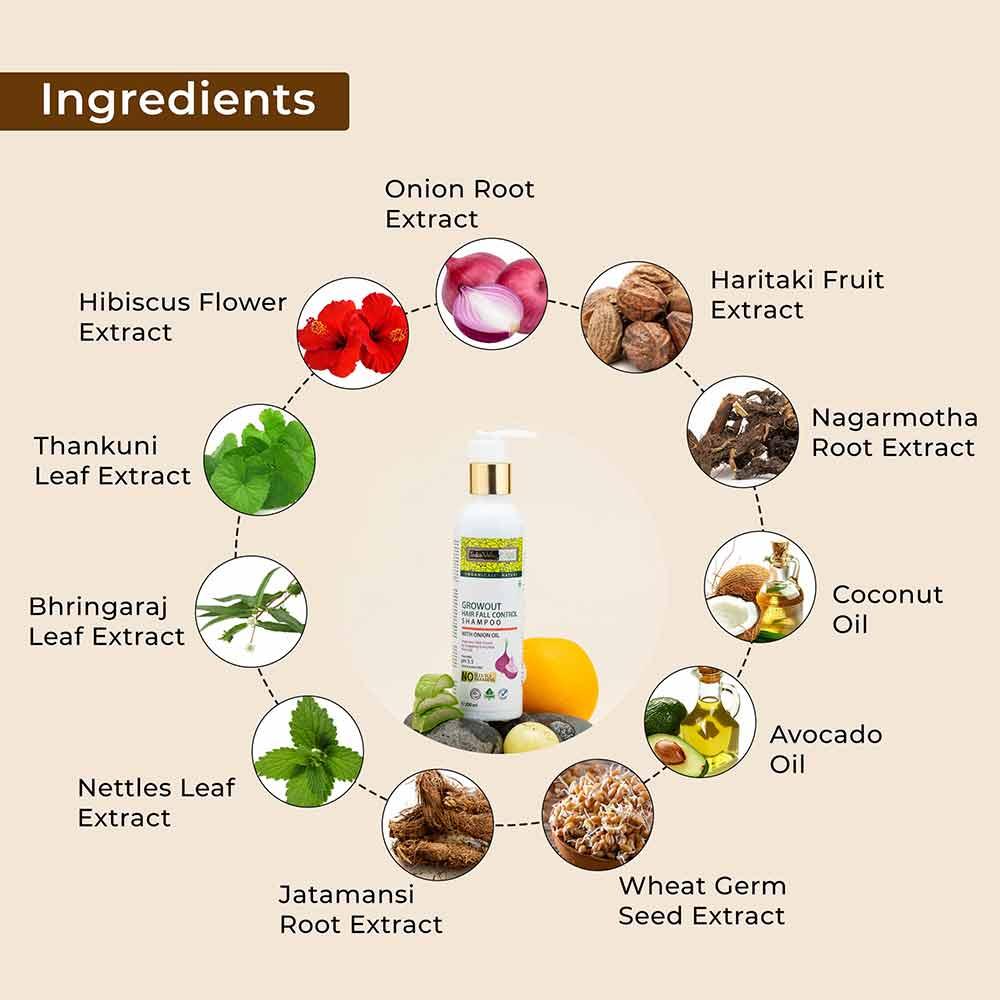 Growout Hair Shampoo for natural hair growth & nourishment - Image 5
