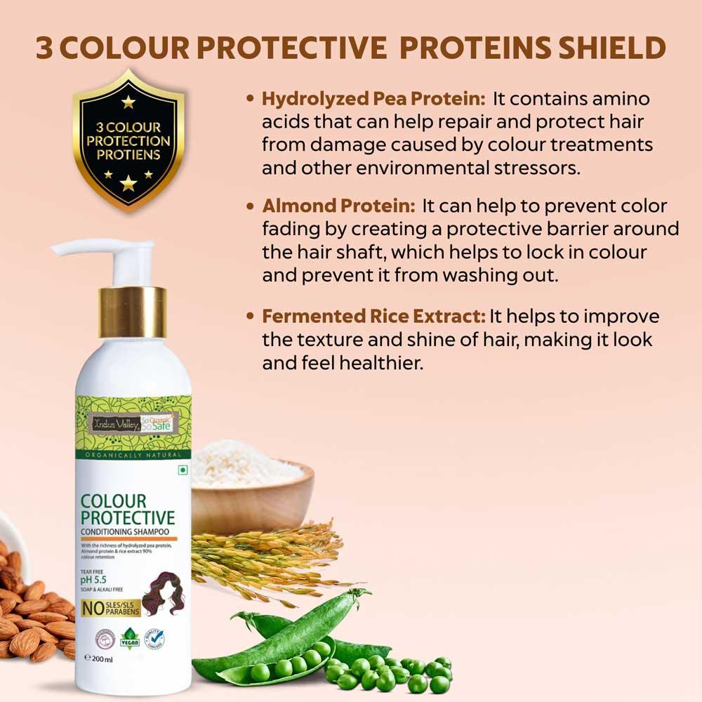 Colour Protective Shampoo With Conditioner - Image 5