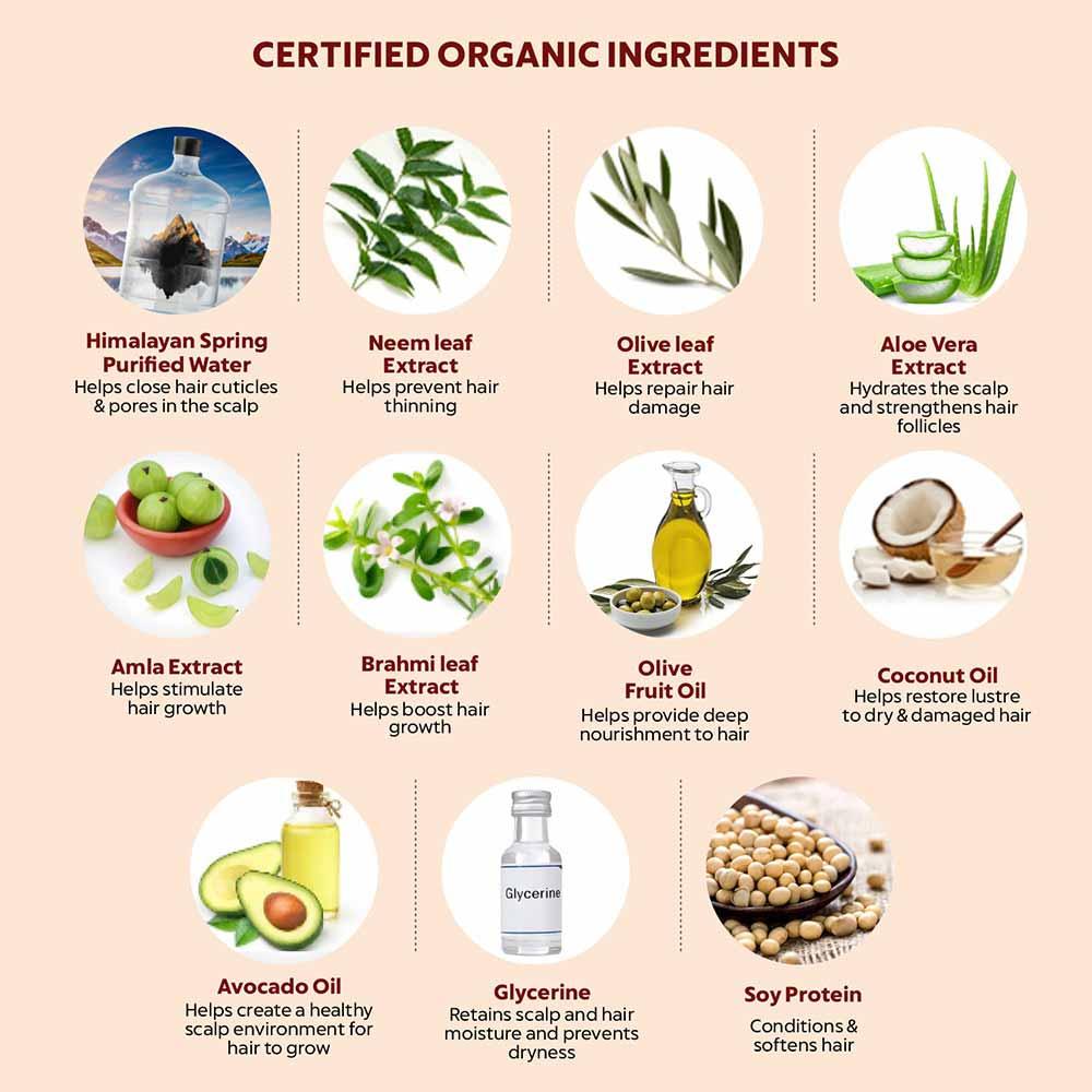 Gentle Daily Nourishing 2-in-1 Shampoo and Conditioner - Image 3