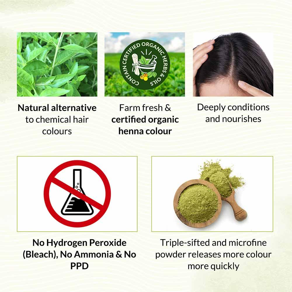 Bio Organic Dark Brown Henna Hair Colour For Early Grey Hair Coverage - 100gm - Image 4